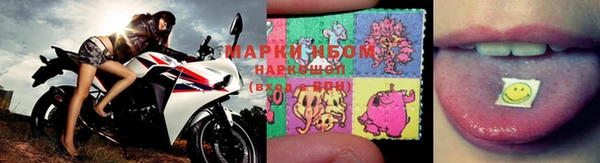трава Алзамай