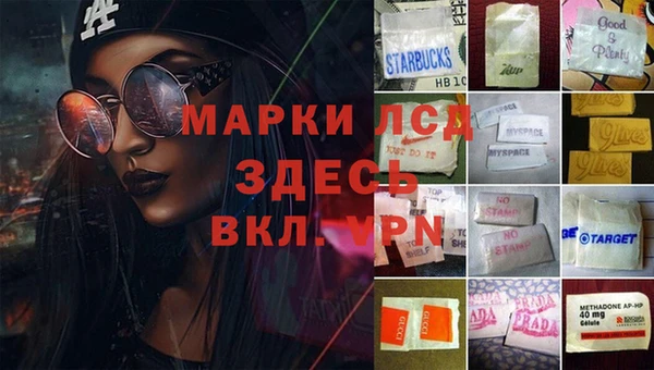 гидра Алексеевка