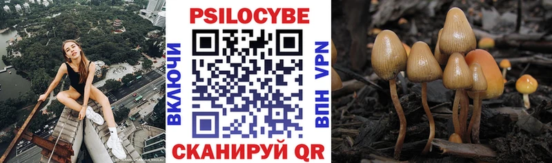 Галлюциногенные грибы Psilocybine cubensis  kraken зеркало  Сыктывкар 